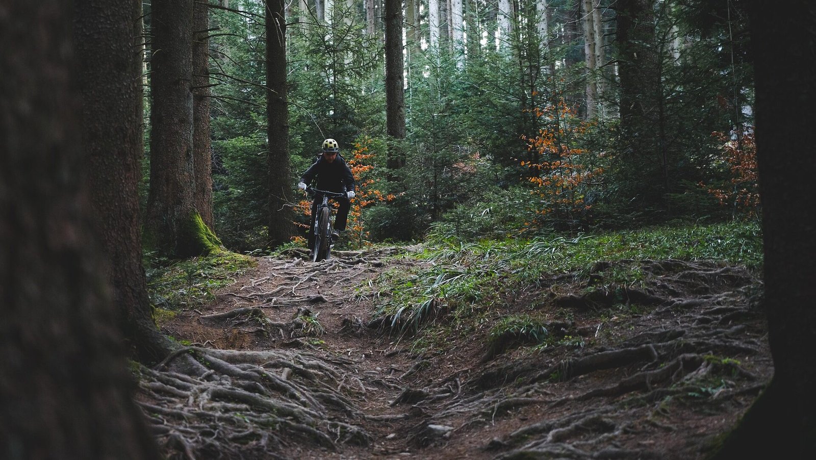 Ist MTB Sport zum Hassen?