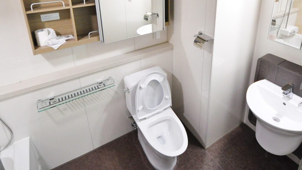 Ich hasse Toiletten putzen